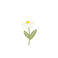 Heart Love Sticker