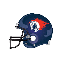 Sagamihara-Rise rise nojima ライズ xleague Sticker