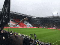 Sankt Pauli Fans GIF by FC St. Pauli