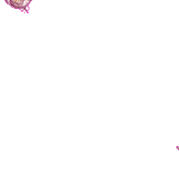 Art Love Sticker by Samsung Mobile