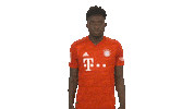 Posing Fc Bayern Sticker by Bundesliga