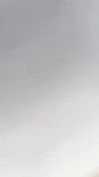 Fivenightsatfreddys Mangle GIF by Youtooz