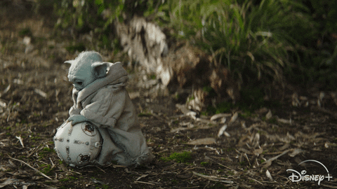 Star Wars Disney Plus GIF by Disney+