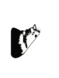 yulegrs cat кошка мило милый Sticker