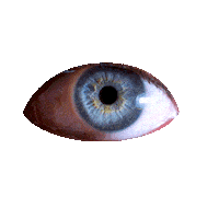 Eye Sticker