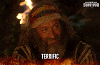 yes GIF by Australian Survivor