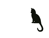 Samiam_doodles cat black meow blackcat Sticker