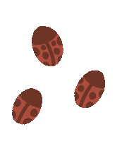 Forest Trees Sticker