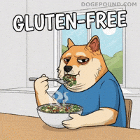 Shiba Inu Eating GIF by Doge Pound
