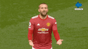 Spurs Tottenham GIF by MolaTV