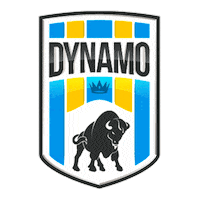 Dpfc Sticker by FSDK