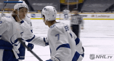 Regular Season Sport GIF by NHL