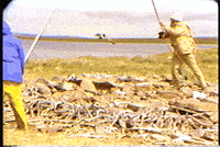 archaeology cmhgif GIF by Canadian Museum of History