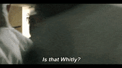 GIF by Prodigal Son