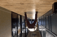 GIF by Bizzabo