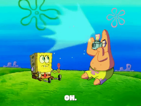 season 5 GIF by SpongeBob SquarePants