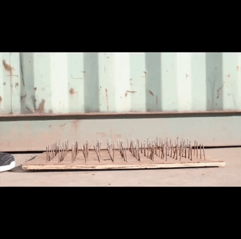 Meet4522  GIF