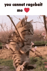 Cat Cannot GIF