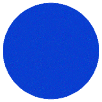 Ceisc Guilherme Sticker by Ceisc