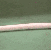 blossom russo jenna von oy GIF by absurdnoise