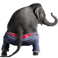 Elephant Sticker
