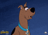 Scared Scooby Doo GIF by Boomerang Official