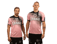 rkcelje handball rokomet lasko celje Sticker