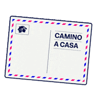 Heart Love Sticker by Aeromexico