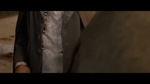 kittypurry giphygifmaker lotr lord of the rings frodo GIF