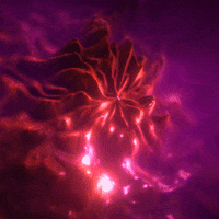 Pink Loop GIF by xponentialdesign