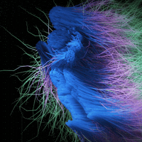 GIF by kans