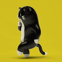 Mrkatandfriends dance cat black baile GIF