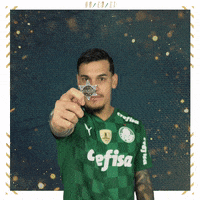 Soccer Futebol GIF by SE Palmeiras