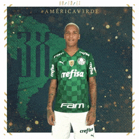 Soccer Futebol GIF by SE Palmeiras
