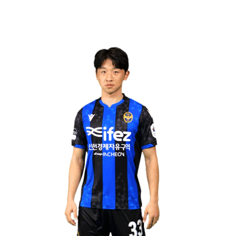 Football Soccer Sticker by Incheon United FC