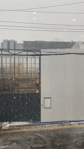 insights___ giphyupload GIF