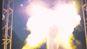 college baseball fsu GIF by NCAA Championships