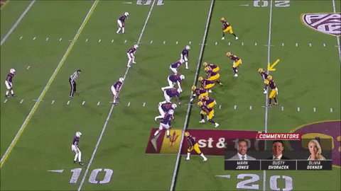 SchaufDS giphygifmaker GIF