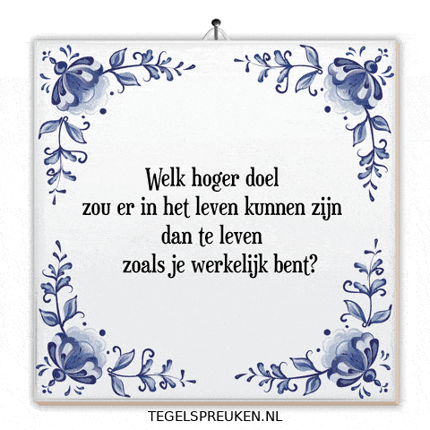 Wijsheid Reflectie GIF by Tegelspreuken.nl