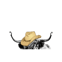 BeefyMarketing yeehaw smallbusinessowner marketingstrategy tomballtx Sticker
