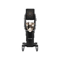 reveal_lasers reveal radiofrequency skin tightening denza Sticker