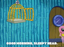 season 8 GIF by SpongeBob SquarePants