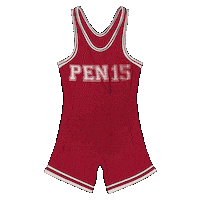 Wrestling Pen15Show Sticker by HULU