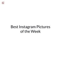 GIF by OnePlus