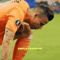 Fluminense GIF