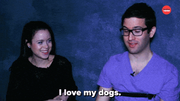 I Love My Dogs