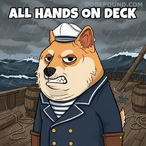 Angry Shiba Inu GIF by Doge Pound