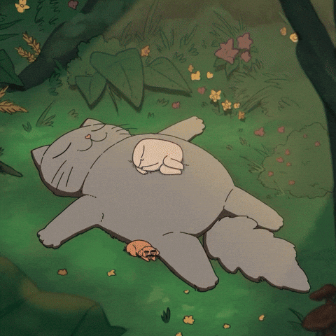 Studio Ghibli Sleeping GIF by KETNIPZ