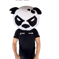 MadpandaMsport yes victory we did it happy panda Sticker