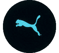 Swim Swimwear Sticker by stichd